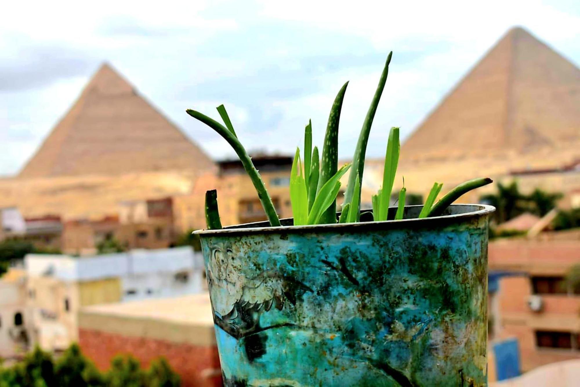 Ammar Pyramids View Séjour chez l'habitant *